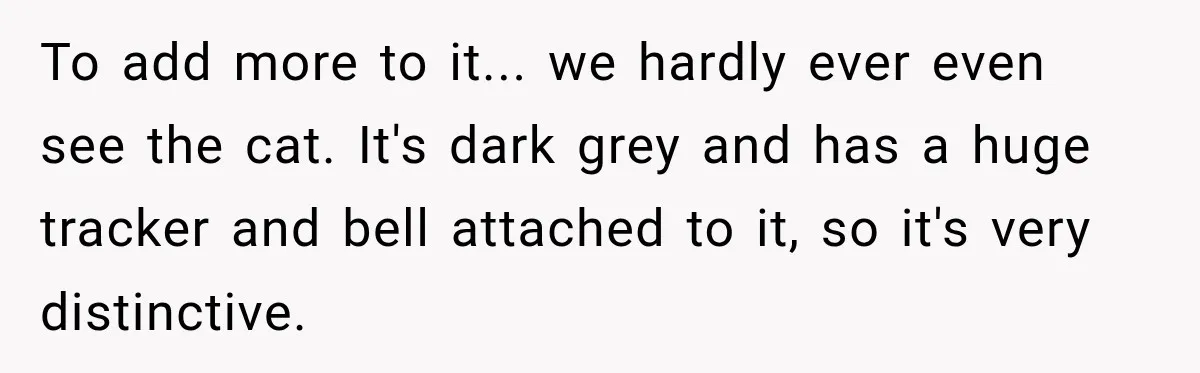 To add more to it... we hardly ever even see the cat. It's dark grey and has a huge tracker and bell attached to it, so it's very distinctive.