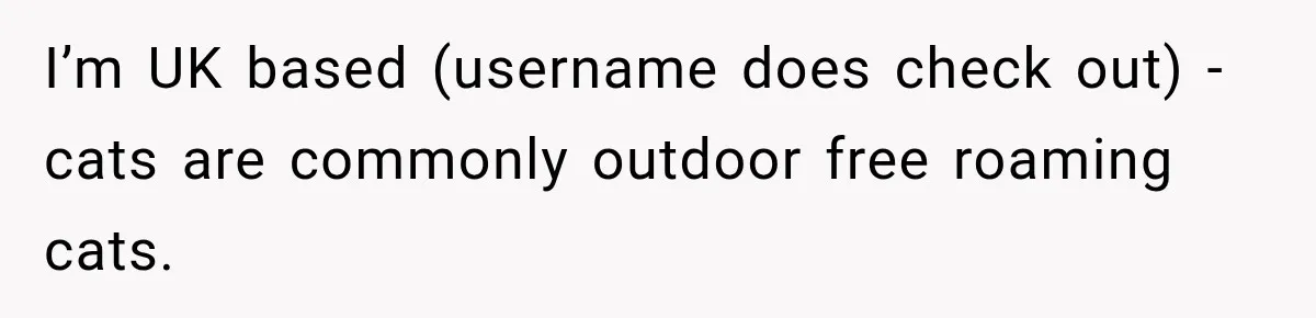 I’m UK based (username does check out) - cats are commonly outdoor free roaming cats.