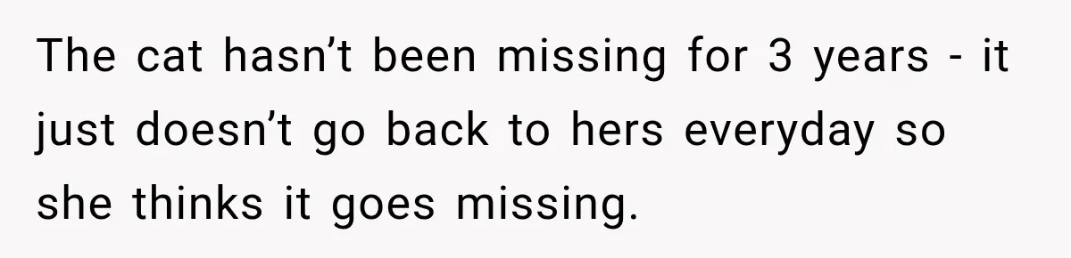 The cat hasn’t been missing for 3 years - it just doesn’t go back to hers everyday so she thinks it goes missing.