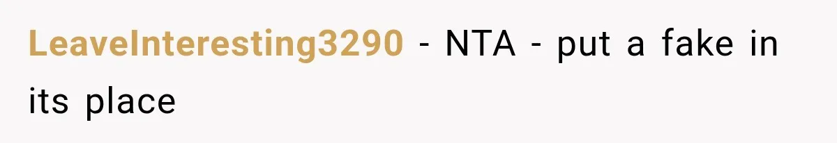 LeaveInteresting3290 − NTA - put a fake in its place