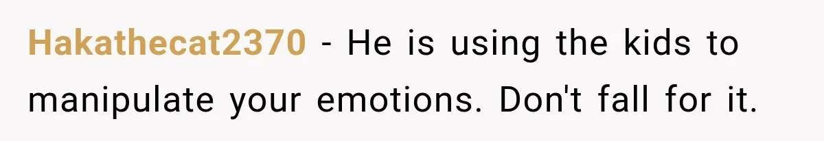 Hakathecat2370 − He is using the kids to manipulate your emotions. Don't fall for it.