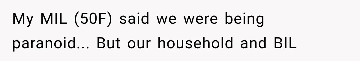 Couple Evacuates Before a Wildfire Spreads, But MIL Calls Them “Paranoid” for Leaving My MIL (50F) said we were being paranoid... But our household and BIL