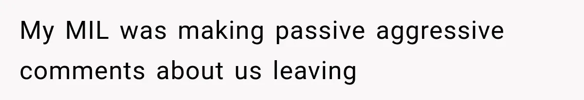 Couple Evacuates Before a Wildfire Spreads, But MIL Calls Them “Paranoid” for Leaving My MIL was making passive aggressive comments about us leaving