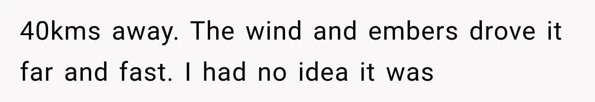 Couple Evacuates Before a Wildfire Spreads, But MIL Calls Them “Paranoid” for Leaving 40kms away. The wind and embers drove it far and fast. I had no idea it was