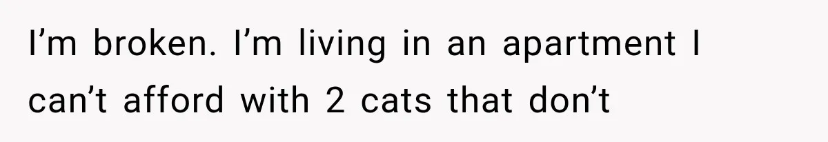 I’m broken. I’m living in an apartment I can’t afford with 2 cats that don’t