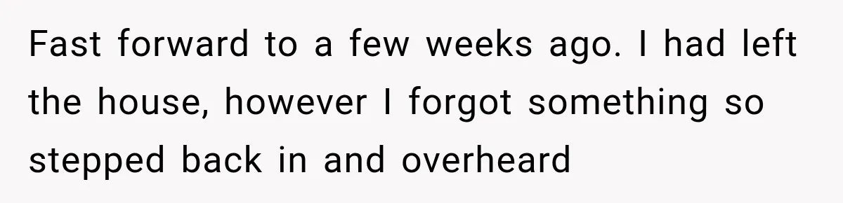 Fast forward to a few weeks ago. I had left the house, however I forgot something so stepped back in and overheard