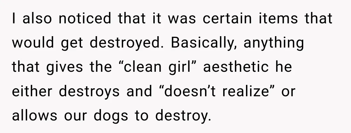 I also noticed that it was certain items that would get destroyed. Basically, anything that gives the “clean girl” aesthetic he either destroys and “doesn’t realize” or allows our dogs...