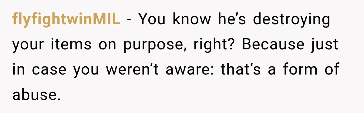 flyfightwinMIL − You know he’s destroying your items on purpose, right? Because just in case you weren’t aware: that’s a form of abuse.