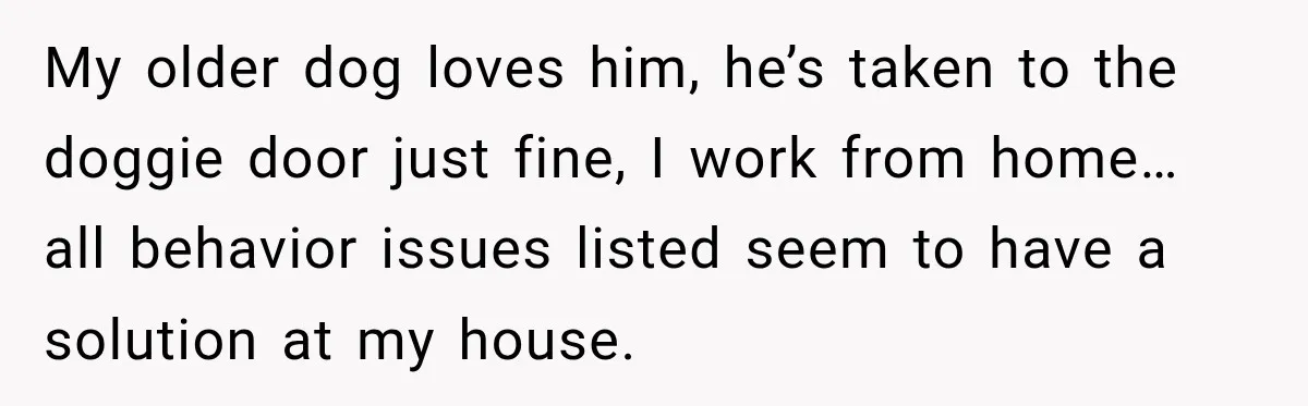 My older dog loves him, he’s taken to the doggie door just fine, I work from home… all behavior issues listed seem to have a solution at my house.