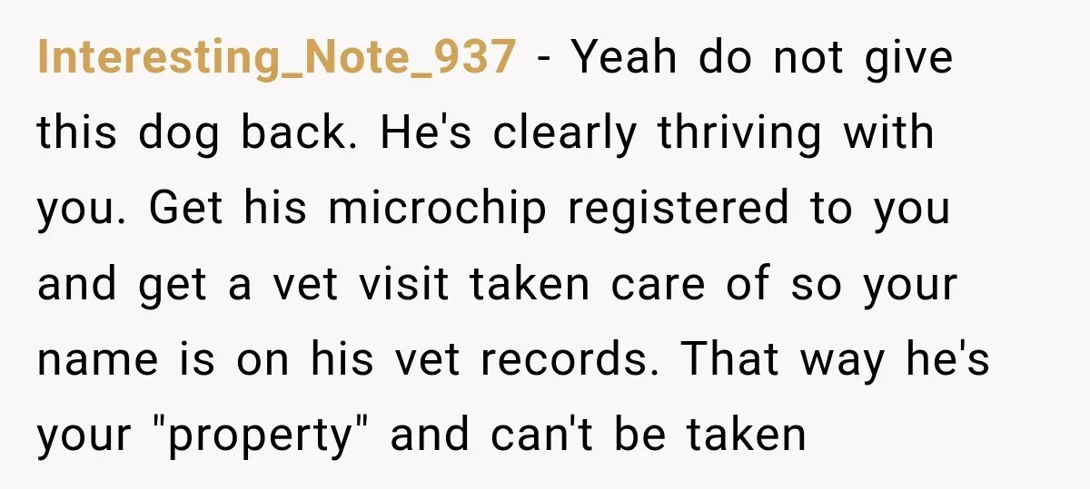 Interesting_Note_937 − Yeah do not give this dog back. He's clearly thriving with you. Get his microchip registered to you and get a vet visit taken care of so your...