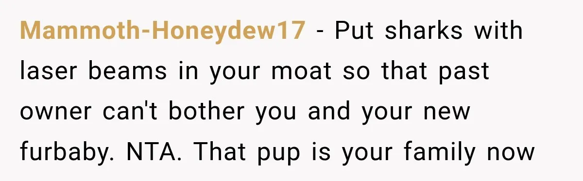 Mammoth-Honeydew17 − Put sharks with laser beams in your moat so that past owner can't bother you and your new furbaby. NTA. That pup is your family now