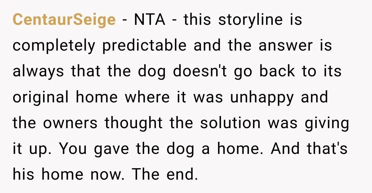 CentaurSeige − NTA - this storyline is completely predictable and the answer is always that the dog doesn't go back to its original home where it was unhappy and the...