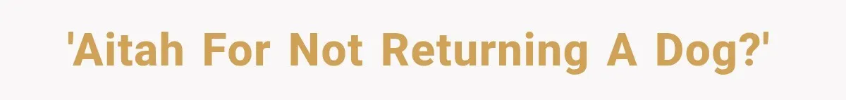 'AITAH for not returning a dog?'