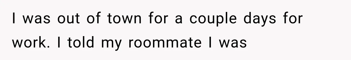 I was out of town for a couple days for work. I told my roommate I was