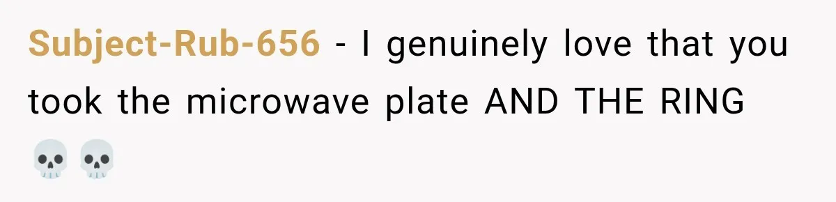 Subject-Rub-656 − I genuinely love that you took the microwave plate AND THE RING 💀💀
