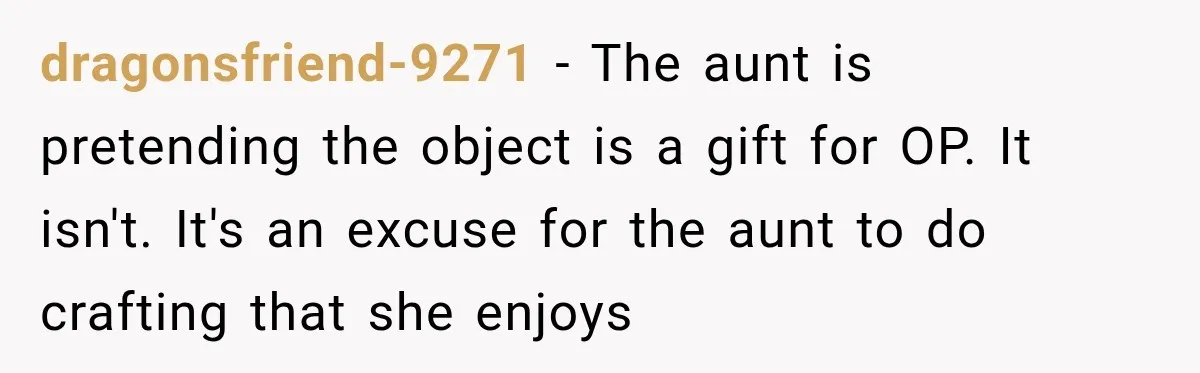 dragonsfriend-9271 − The aunt is pretending the object is a gift for OP. It isn't. It's an excuse for the aunt to do crafting that she enjoys