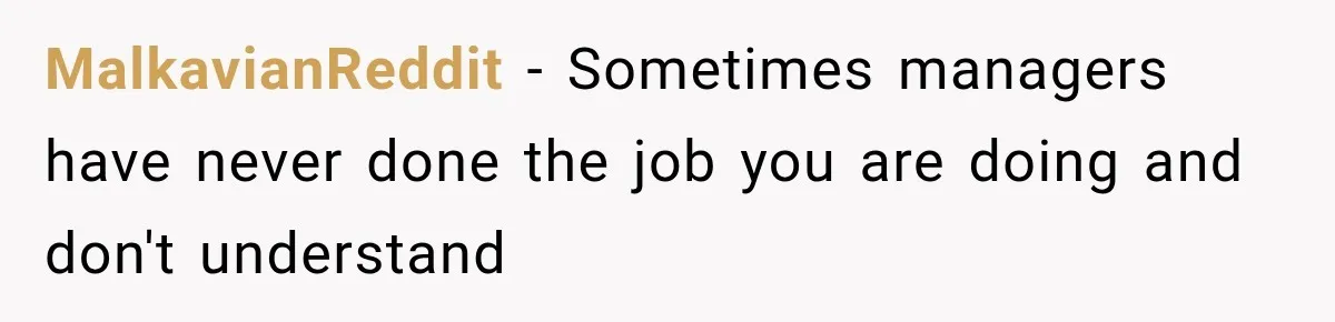 MalkavianReddit − Sometimes managers have never done the job you are doing and don't understand
