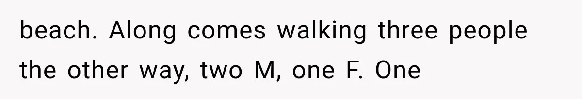 Dad Demands Better Movie Seats From a Mother, But She Refuses to Be Bullied beach. Along comes walking three people the other way, two M, one F. One
