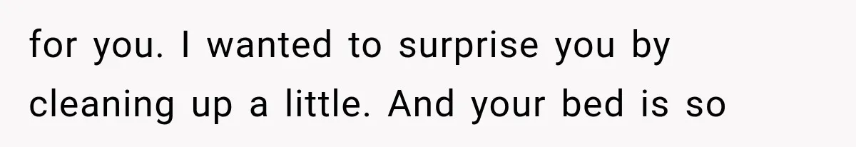 for you. I wanted to surprise you by cleaning up a little. And your bed is so