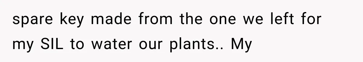 spare key made from the one we left for my SIL to water our plants.. My