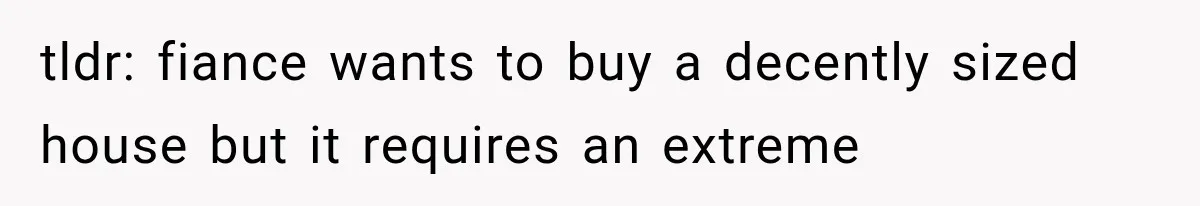 tldr: fiance wants to buy a decently sized house but it requires an extreme