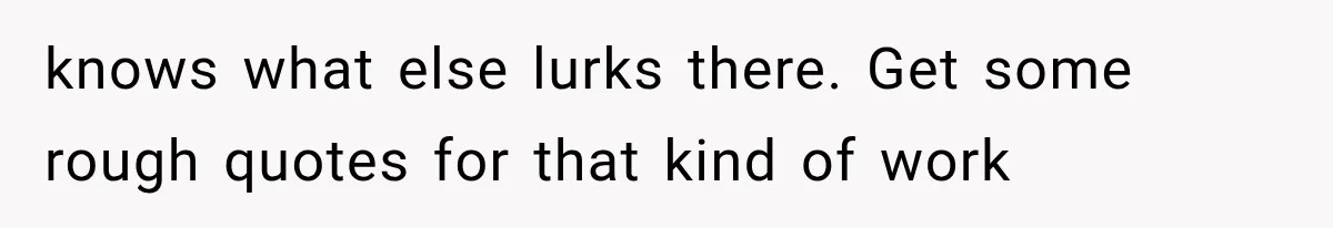 knows what else lurks there. Get some rough quotes for that kind of work