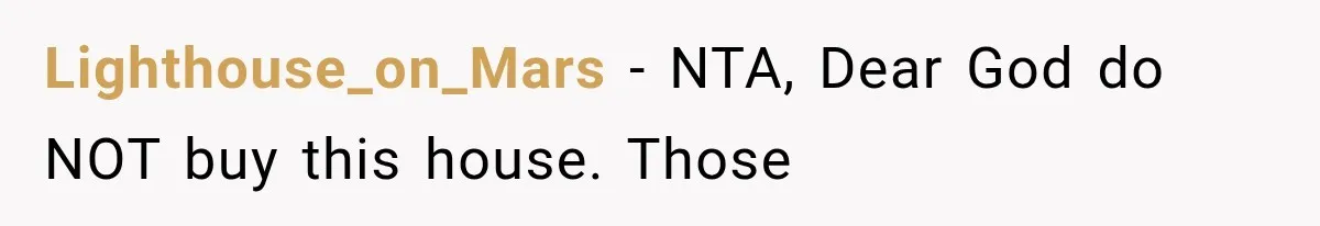 Lighthouse_on_Mars − NTA, Dear God do NOT buy this house. Those