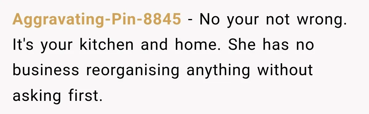 Aggravating-Pin-8845 − No your not wrong. It's your kitchen and home. She has no business reorganising anything without asking first.