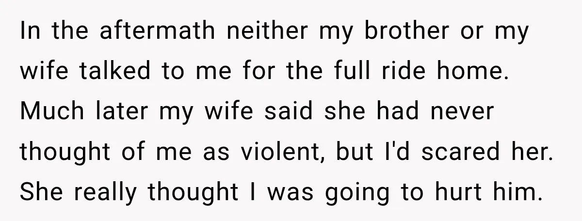 In the aftermath neither my brother or my wife talked to me for the full ride home. Much later my wife said she had never thought of me as violent,...