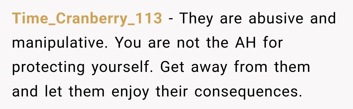 Time_Cranberry_113 − They are abusive and manipulative. You are not the AH for protecting yourself. Get away from them and let them enjoy their consequences.