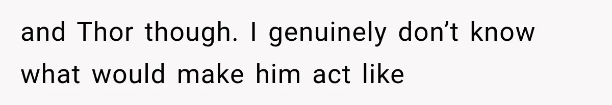 Wedding Guest Shouts Drug Accusations During Vows, Then His Wife Calls the Groom Mentally Ill and Thor though. I genuinely don’t know what would make him act like