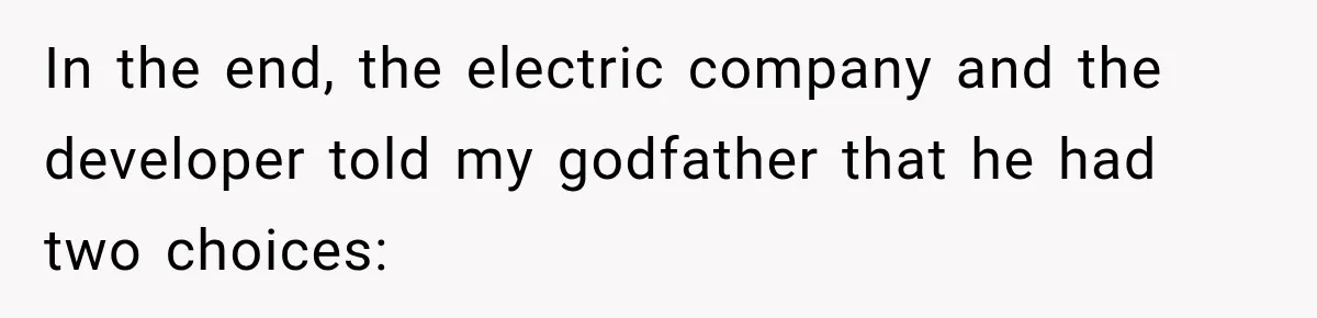 In the end, the electric company and the developer told my godfather that he had two choices: