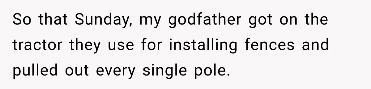So that Sunday, my godfather got on the tractor they use for installing fences and pulled out every single pole.