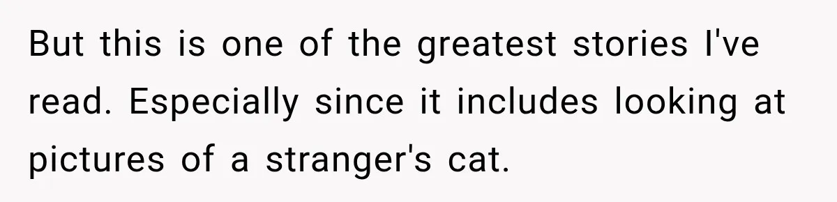 But this is one of the greatest stories I've read. Especially since it includes looking at pictures of a stranger's cat.
