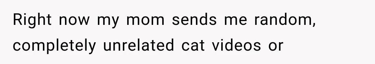 Right now my mom sends me random, completely unrelated cat videos or