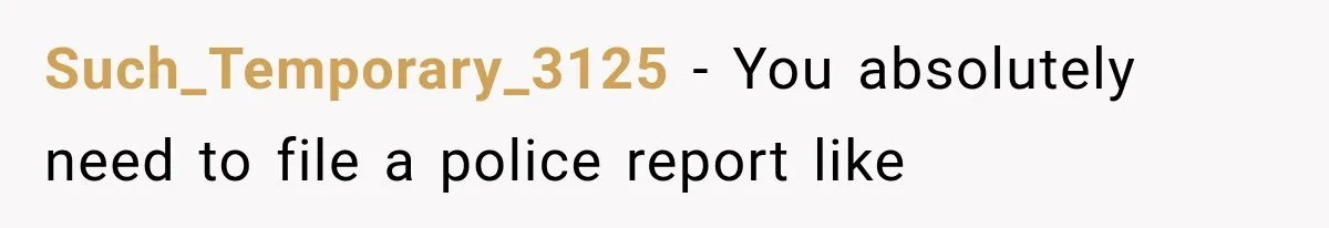 Such_Temporary_3125 − You absolutely need to file a police report like