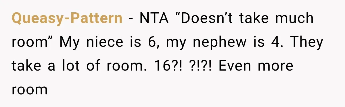 Queasy-Pattern − NTA “Doesn’t take much room” My niece is 6, my nephew is 4. They take a lot of room. 16?! ?!?! Even more room