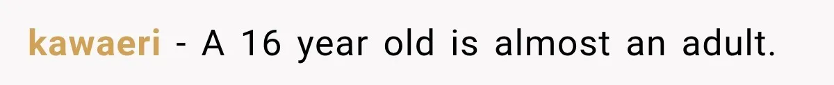 kawaeri − A 16 year old is almost an adult.