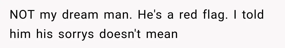 NOT my dream man. He's a red flag. I told him his sorrys doesn't mean