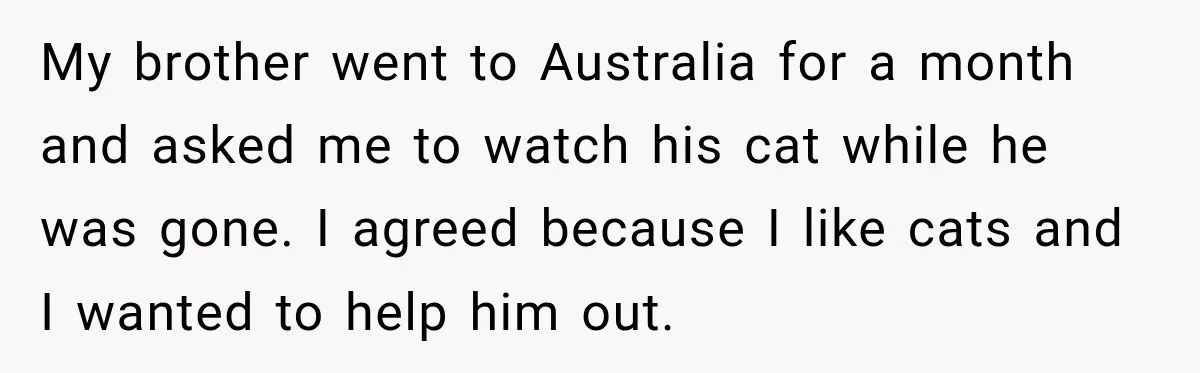 My brother went to Australia for a month and asked me to watch his cat while he was gone. I agreed because I like cats and I wanted to help...