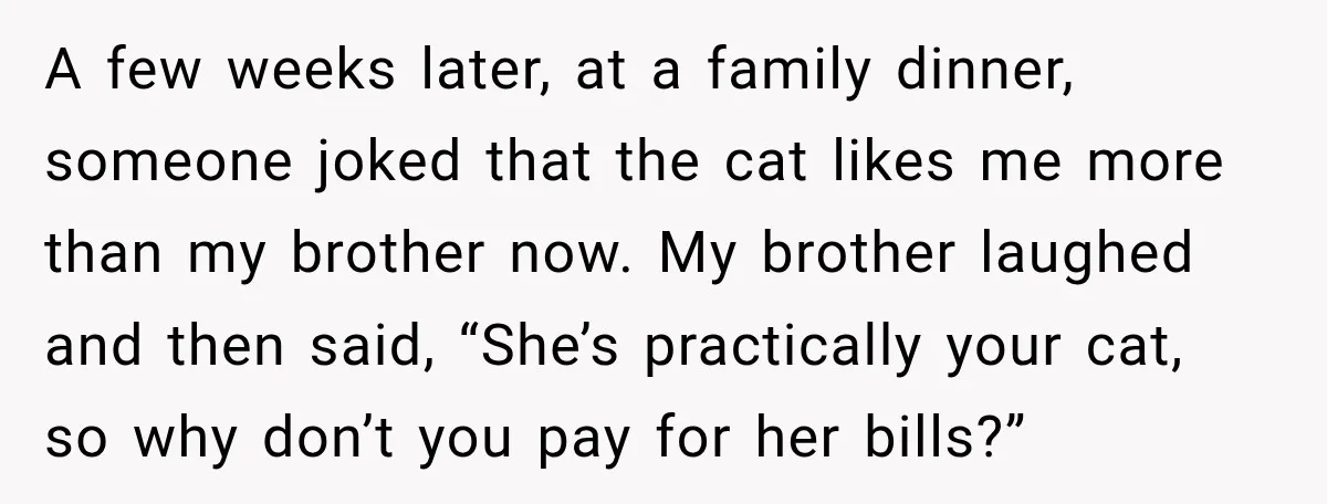 A few weeks later, at a family dinner, someone joked that the cat likes me more than my brother now. My brother laughed and then said, “She’s practically your cat,...
