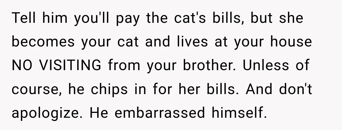 Tell him you'll pay the cat's bills, but she becomes your cat and lives at your house NO VISITING from your brother. Unless of course, he chips in for her...