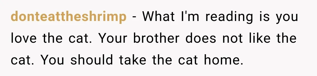 donteattheshrimp − What I'm reading is you love the cat. Your brother does not like the cat. You should take the cat home.