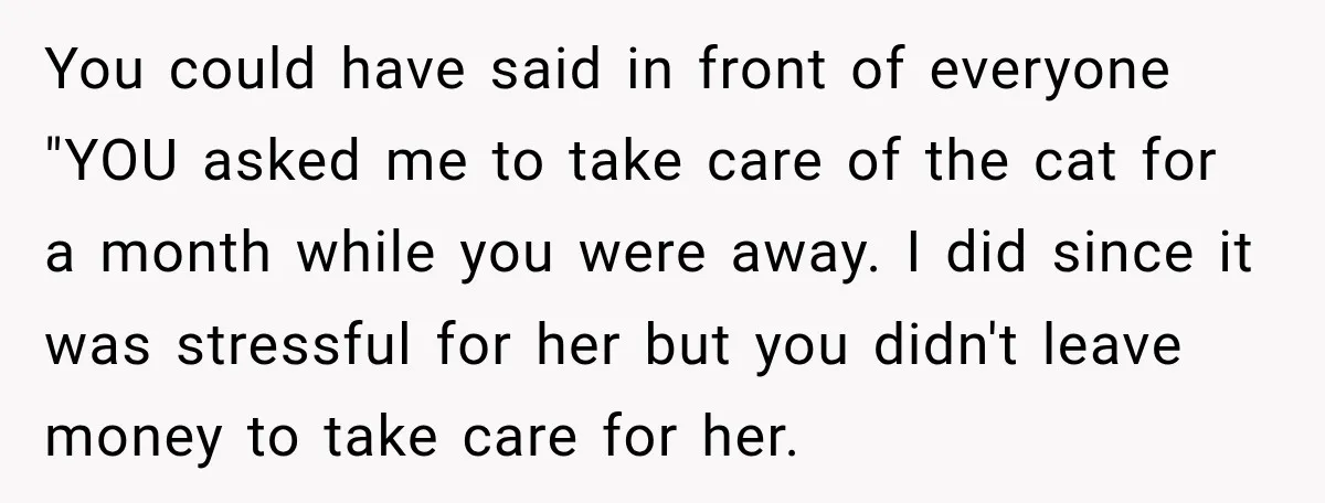 You could have said in front of everyone "YOU asked me to take care of the cat for a month while you were away. I did since it was stressful...