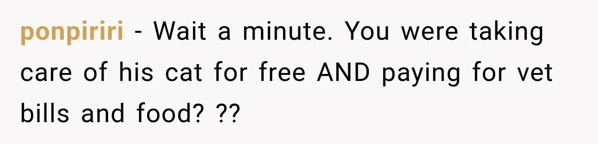 ponpiriri − Wait a minute. You were taking care of his cat for free AND paying for vet bills and food? ??