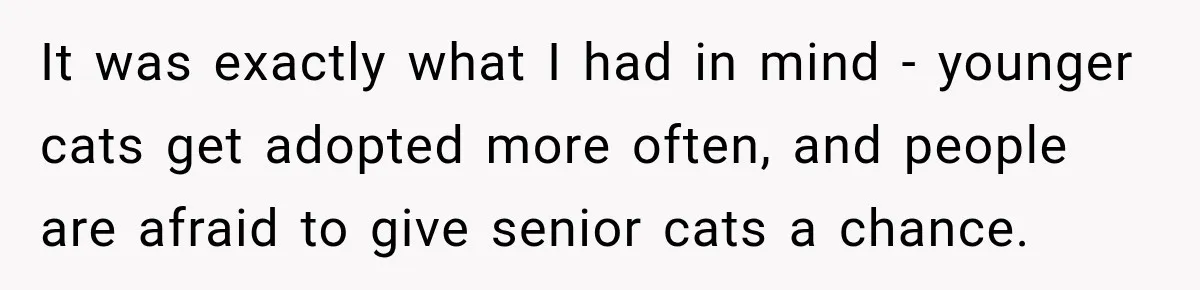 It was exactly what I had in mind - younger cats get adopted more often, and people are afraid to give senior cats a chance.