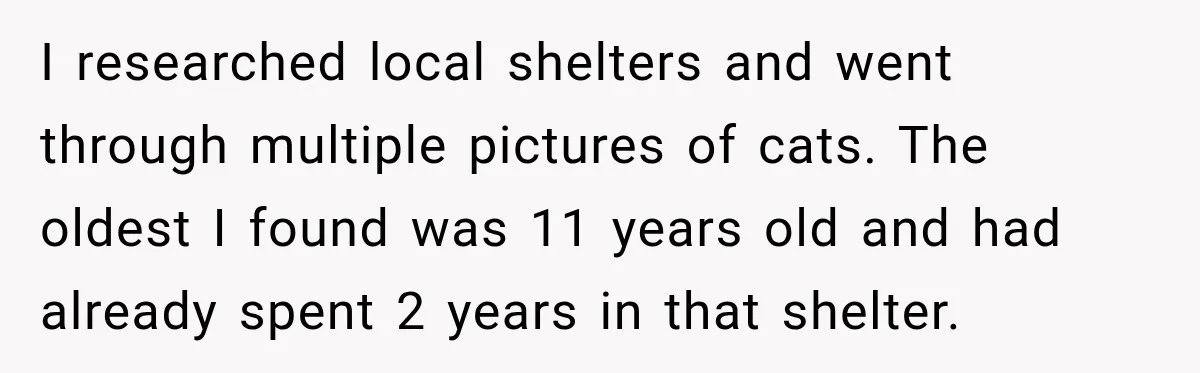 I researched local shelters and went through multiple pictures of cats. The oldest I found was 11 years old and had already spent 2 years in that shelter.