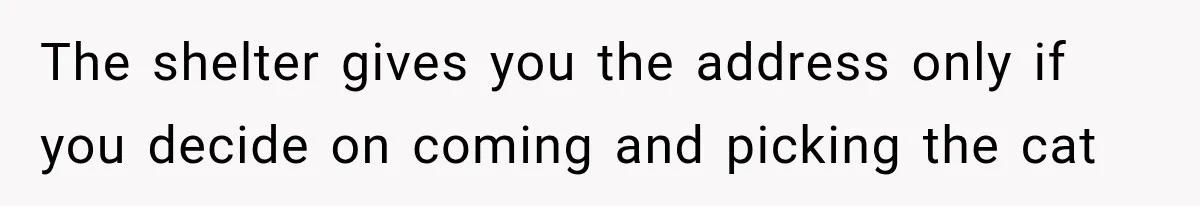 The shelter gives you the address only if you decide on coming and picking the cat