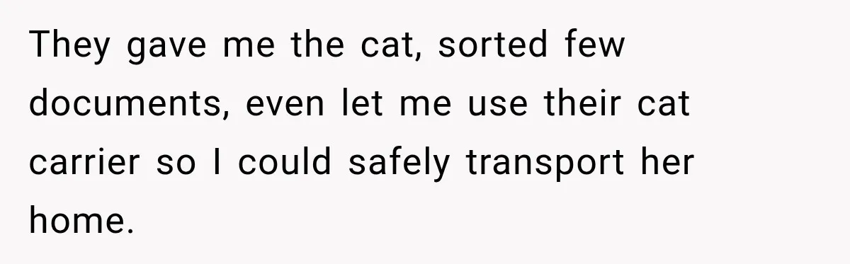 They gave me the cat, sorted few documents, even let me use their cat carrier so I could safely transport her home.