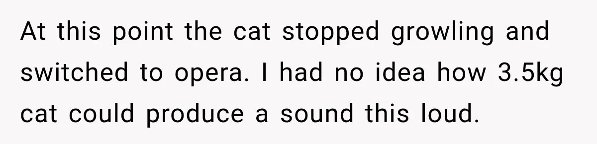 At this point the cat stopped growling and switched to opera. I had no idea how 3.5kg cat could produce a sound this loud.